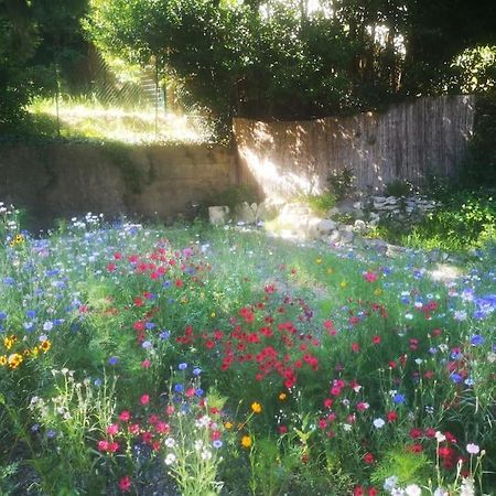 Belle Dependance De 30M2 Avec Terrasse Et Jardin Apartment Villeneuve-lès-Avignon Екстериор снимка