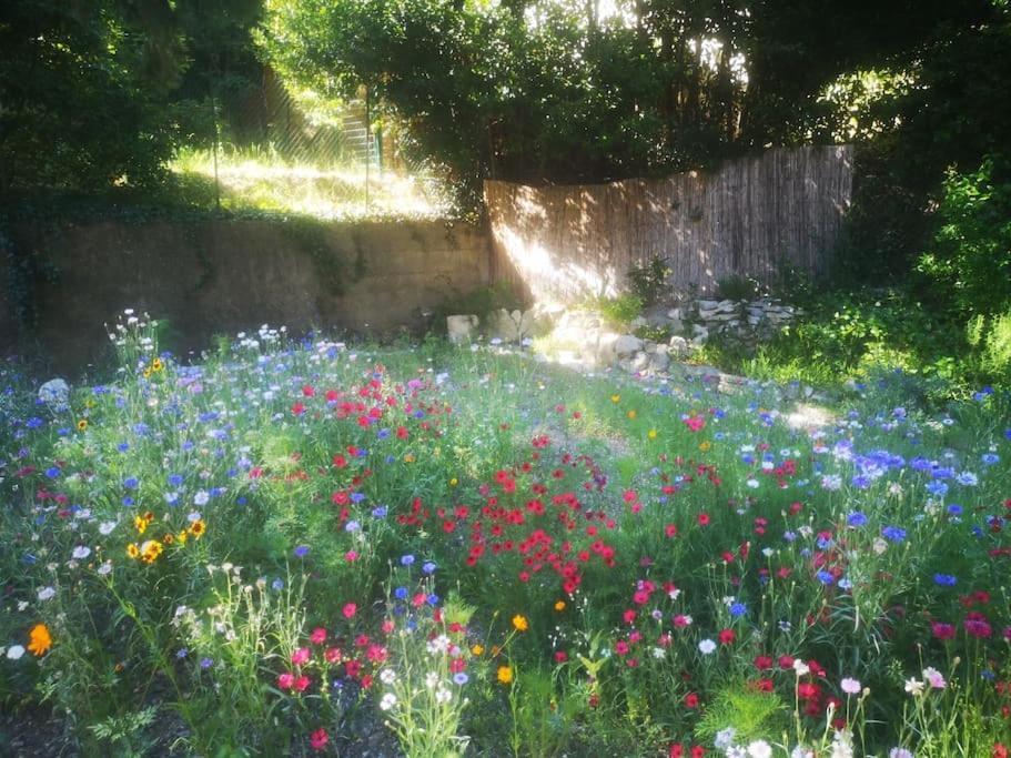 Belle Dependance De 30M2 Avec Terrasse Et Jardin Apartment Villeneuve-lès-Avignon Екстериор снимка